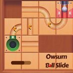 Owsum Ball Slide