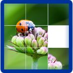 Photo Puzzle Game