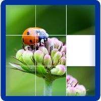 Photo Puzzle Game