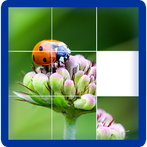 Photo Puzzle Game