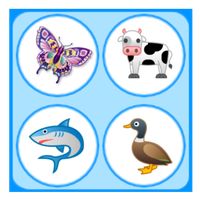 Picture Match - Memory Game