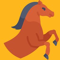 Horse Rider
