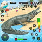 Angry crocodile beach attack