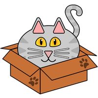 Cats in Boxes