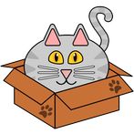 Cats in Boxes