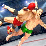 Wrestling games 3d fighting