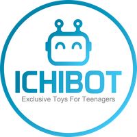 ICHIBOT Controller