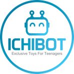 ICHIBOT Controller
