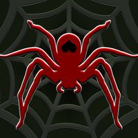 Spider Solitaire