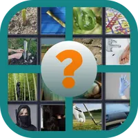 4Pics 5letters {1word}