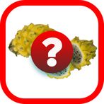 Tebak Gambar Buah V.2
