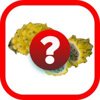 Tebak Gambar Buah V.2