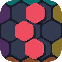 Hexa Mania Fill Hexagon Block