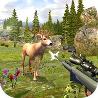 Deer Hunting Kill Shot