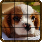 Puzzle: Landscapes, Pets & Ani