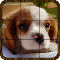 Puzzle: Landscapes, Pets & Ani