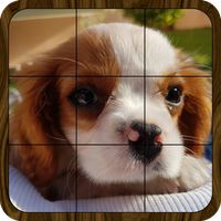 Puzzle: Landscapes, Pets & Ani