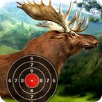 Moose Target Shooting
