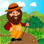 Cut The Vegetable Crop