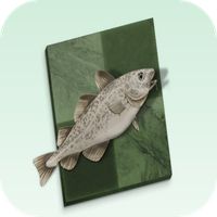 Think Like Stockfish