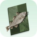 Think Like Stockfish