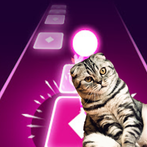 Ball and Beat: Cat Game
