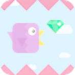 Dashy Bird