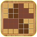 Block Puzzle Grids Sudoku
