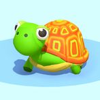 Shell Care