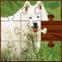 Jigsaw Puzzle Games