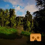 VR Hike Through The Forest