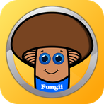 Fungii - cute virtual pet game