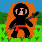 Ninja Garden