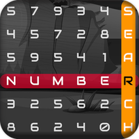 Number Search Puzzle