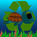 Turtle Bounce