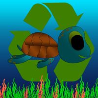 Turtle Bounce