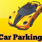 Car Parking Simulation