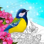 Birds Coloring Art Book