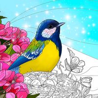 Birds Coloring Art Book