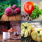 Ratet mal, Food-Crack-Quiz