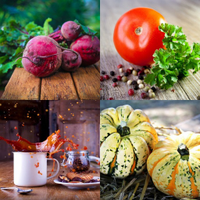 Ratet mal, Food-Crack-Quiz