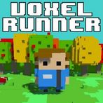 Voxel Runner