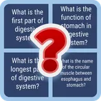 GutQuiz