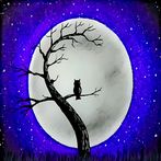 Owl Moon