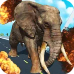 Wild Animals Road Rampage