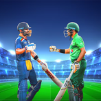 Real World Cricket Cup Games