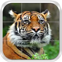 Animals Sliding Tile Puzzle