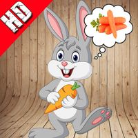 Rabbit Endless Runner HD