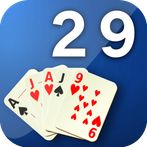 29 Card Game