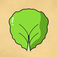 Hide and Seek - Food